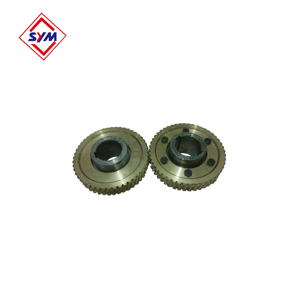 Passenger Hoist Worm Wheel And Worm Shaft