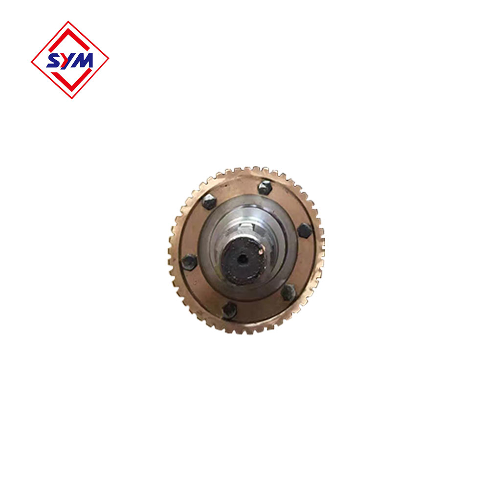 Passenger Hoist Worm Wheel And Worm Shaft