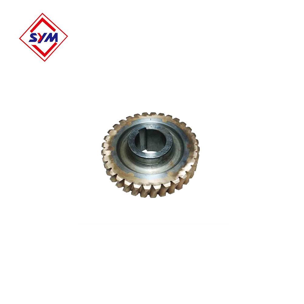 Passenger Hoist Worm Wheel And Worm Shaft