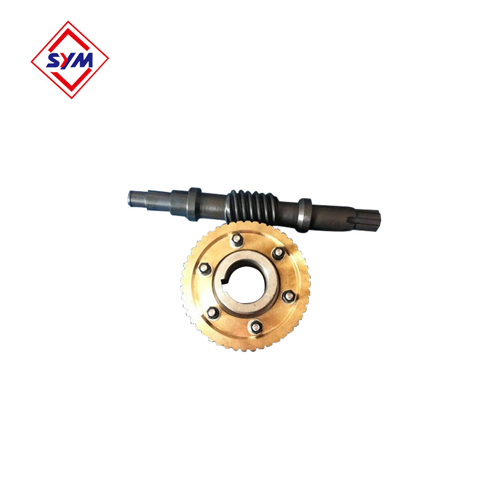 Passenger Hoist Worm Wheel And Worm Shaft