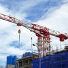 SP6020-10 QTP172tm Topless Tower Crane 
