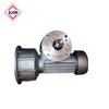 GJJ Passenger Hoist SC200/200 Hoist Drive Gearbox Reducer 1:10 1:12 1:14 1:16